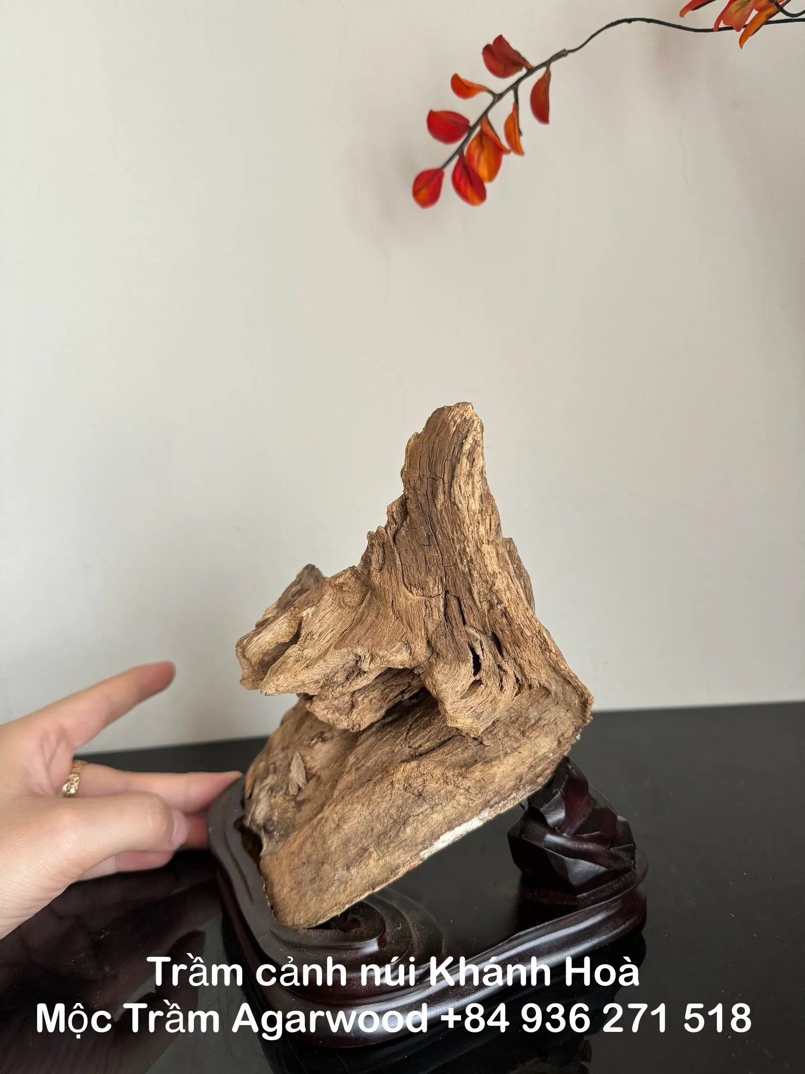 Hết hàng_Trầm hương cảnh_ Trầm cảnh chóp núi rừng Khánh Hoà cao 18 cm