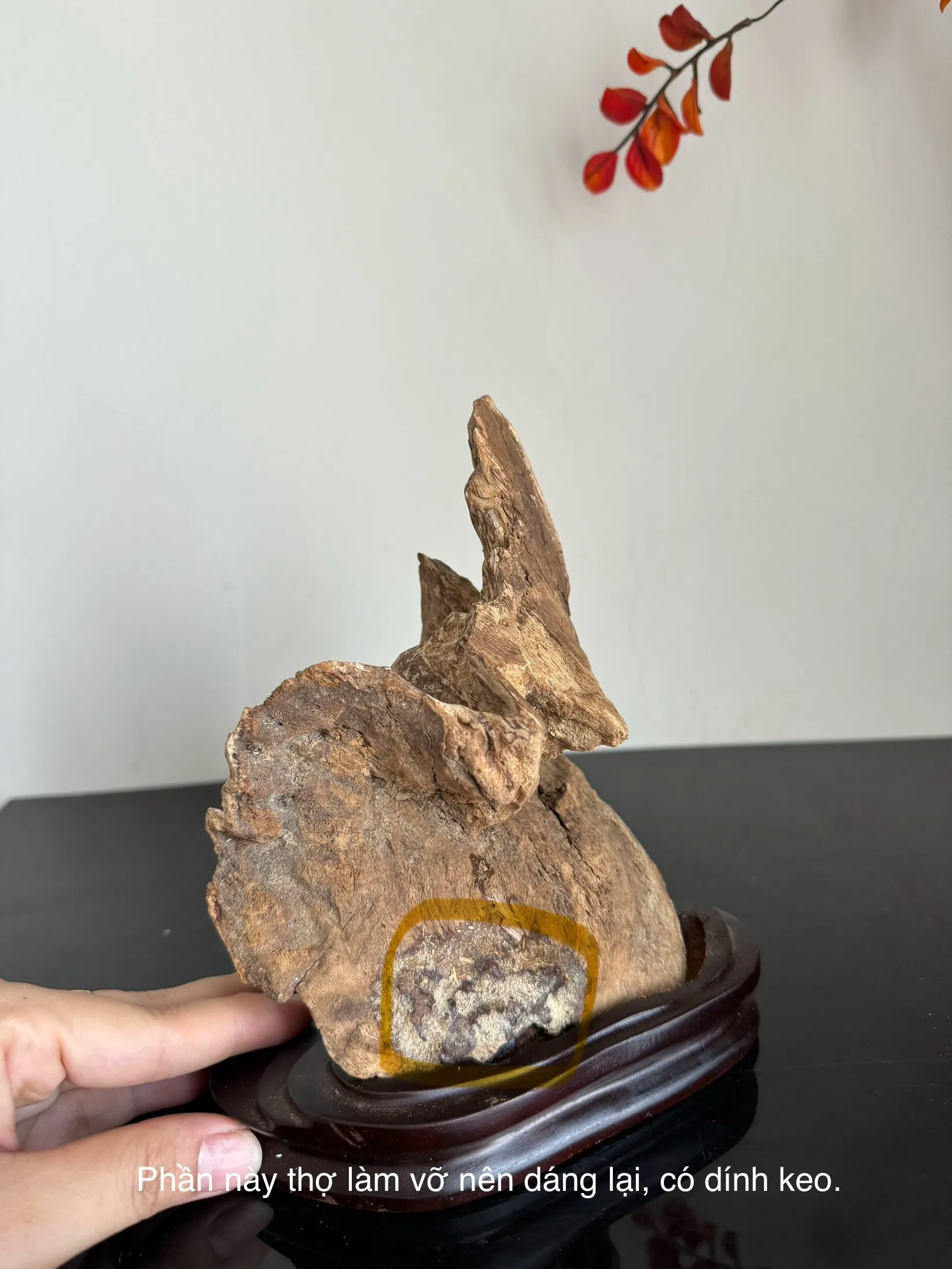 Hết hàng_Trầm hương cảnh_ Trầm cảnh chóp núi rừng Khánh Hoà cao 18 cm