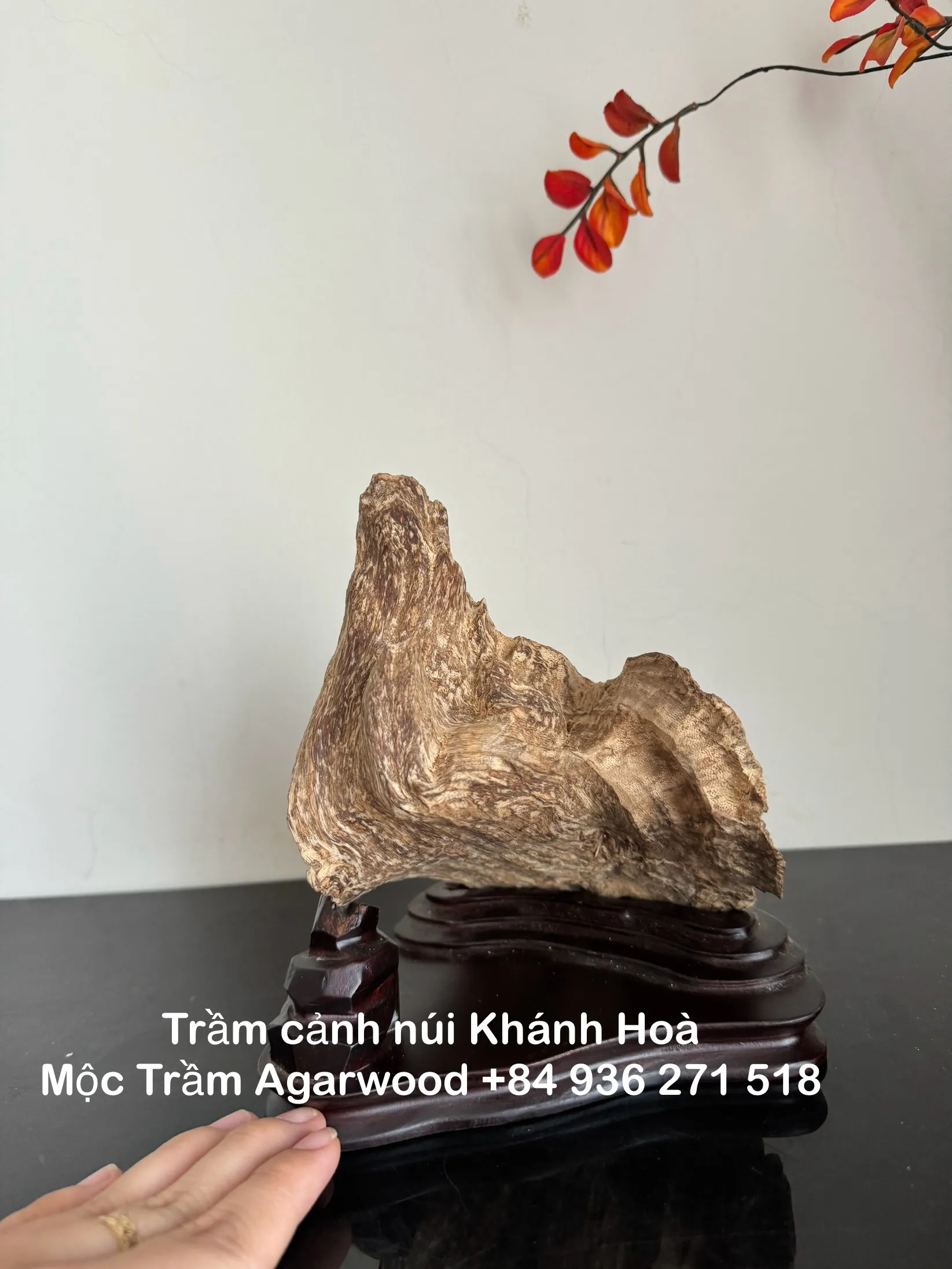 Hết hàng_Trầm hương cảnh_ Trầm cảnh chóp núi rừng Khánh Hoà cao 18 cm