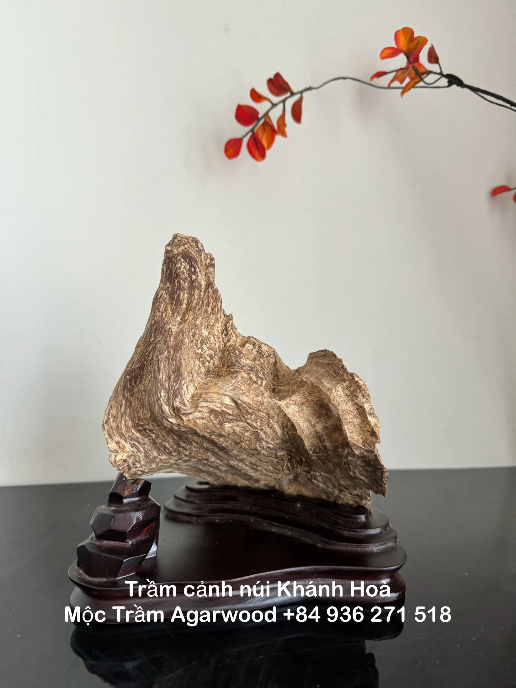 Hết hàng_Trầm hương cảnh_ Trầm cảnh chóp núi rừng Khánh Hoà cao 18 cm