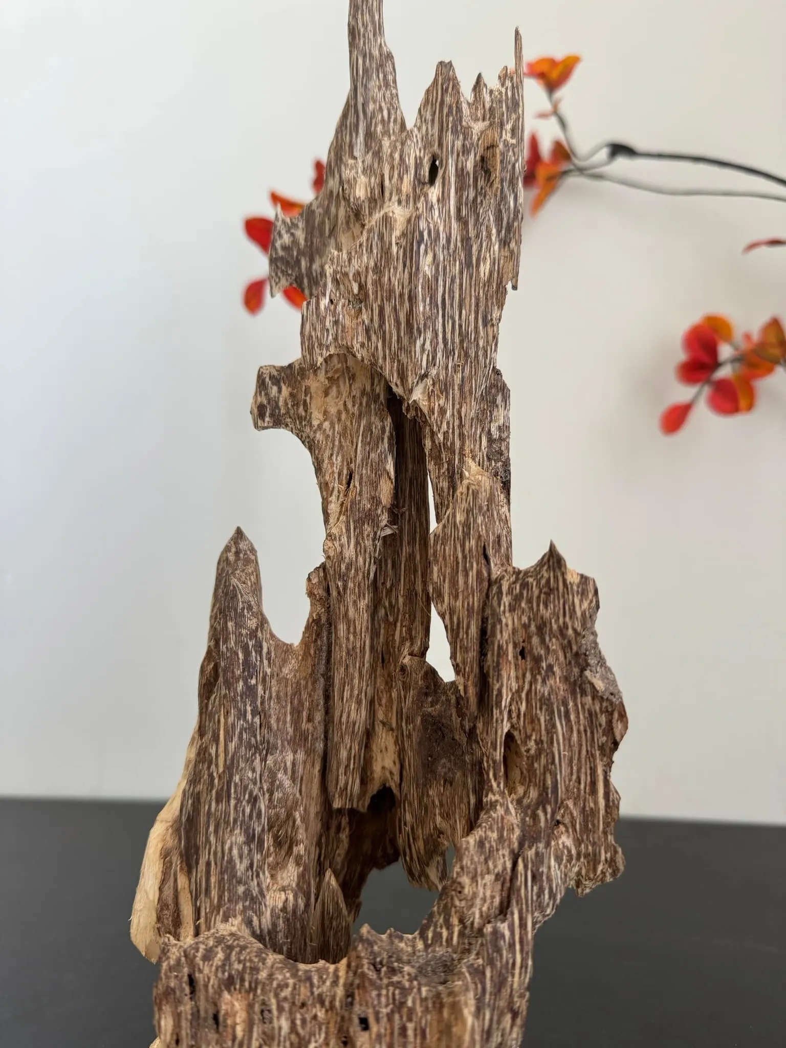 Hết hàng_Trầm hương cảnh _ Trầm cảnh khối từ trầm kiến tự nhiên cao 35 cm