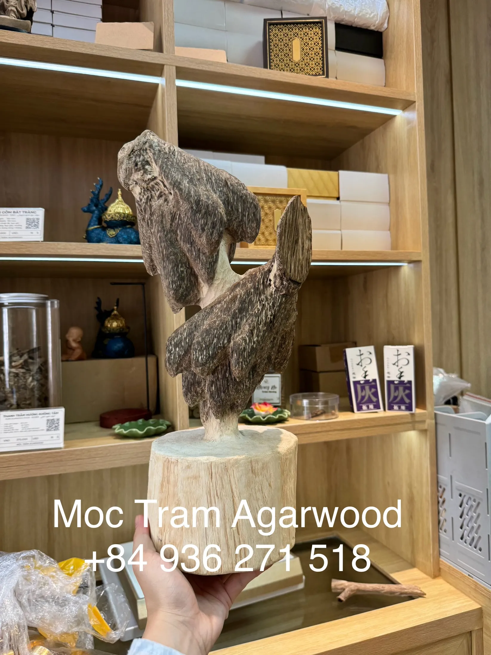 Trầm hương cảnh trang trí_trầm vườn cao 39 cm với lượng tinh dầu tự nhiên và màu sắc tự nhiên