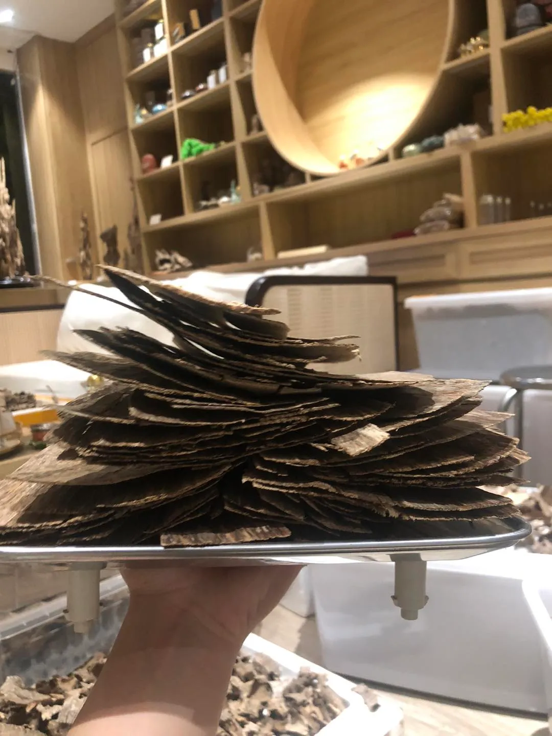 Trầm sánh 1 mặt dầu tốt có độ dày từ 0,8 - 1 mm Mộc Trầm Agarwood.