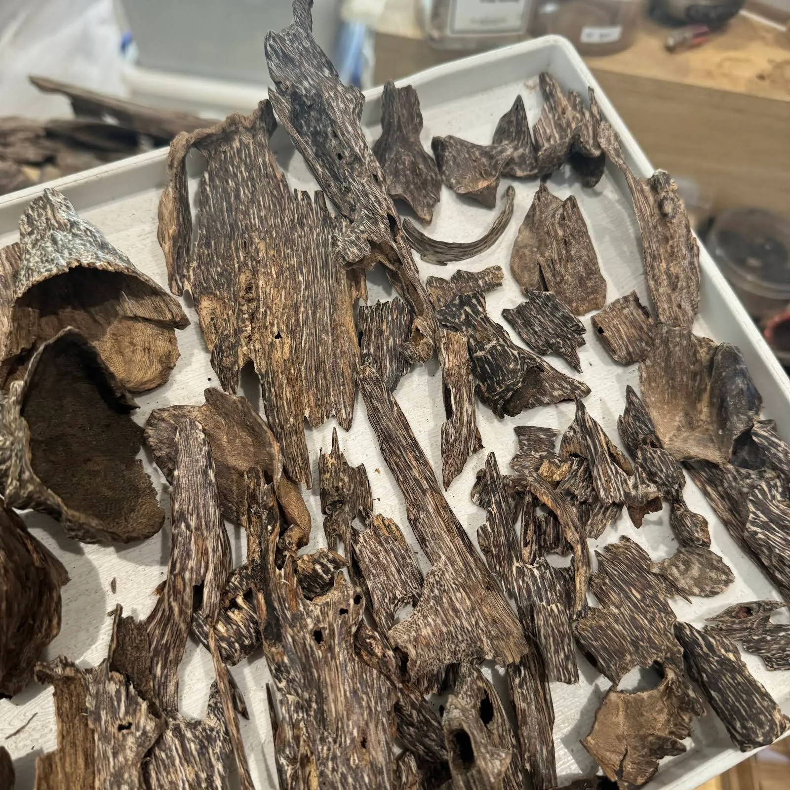 Trầm hương xông VIP từ rừng Việt Nam, Bộ sưu tập hương trầm hoang dã và tự nhiên