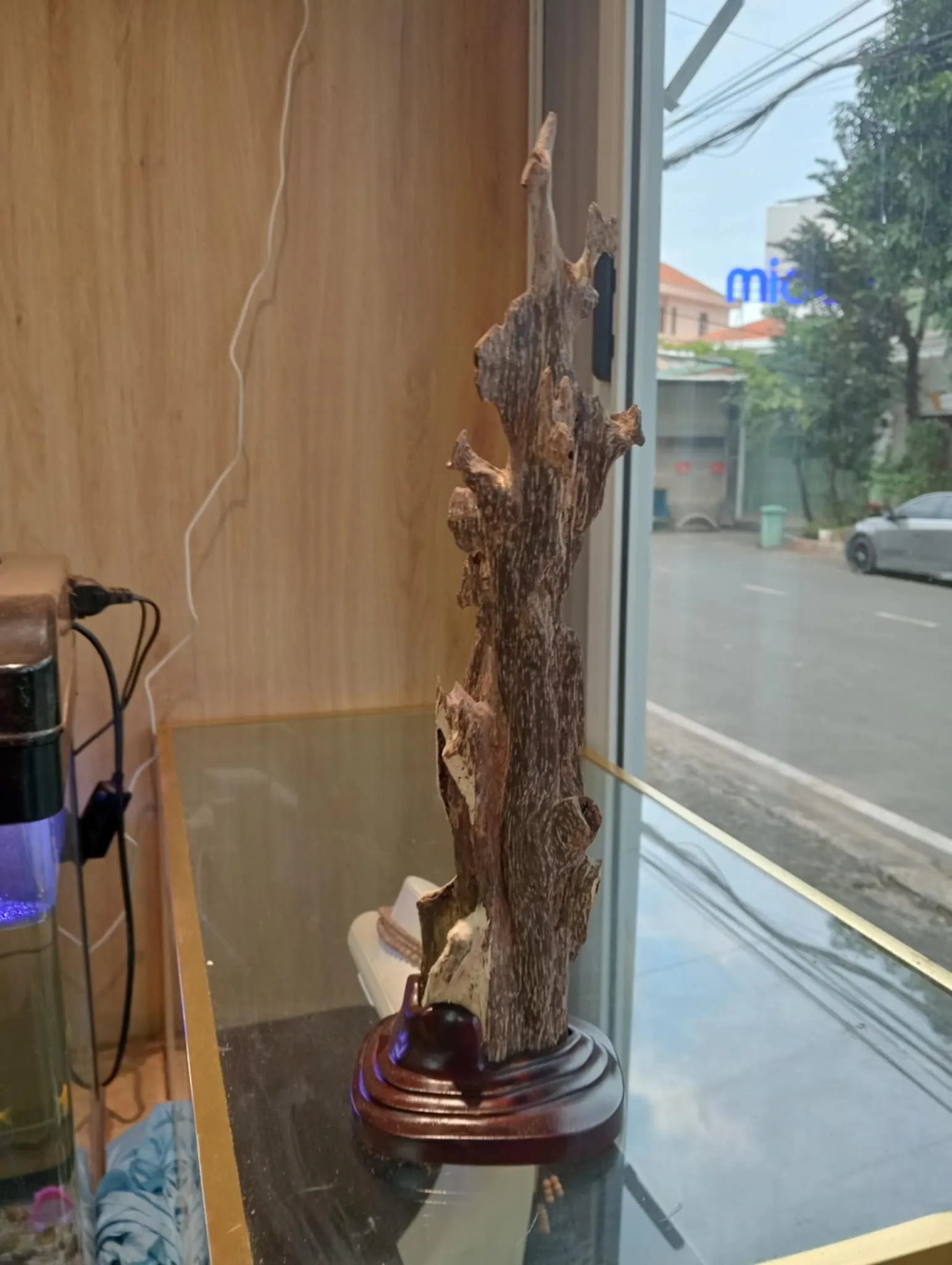 Hết hàng_Trầm Kiến Cảnh Trưng Bày_Khối Mỹ Nghệ Đồ Họa Cao