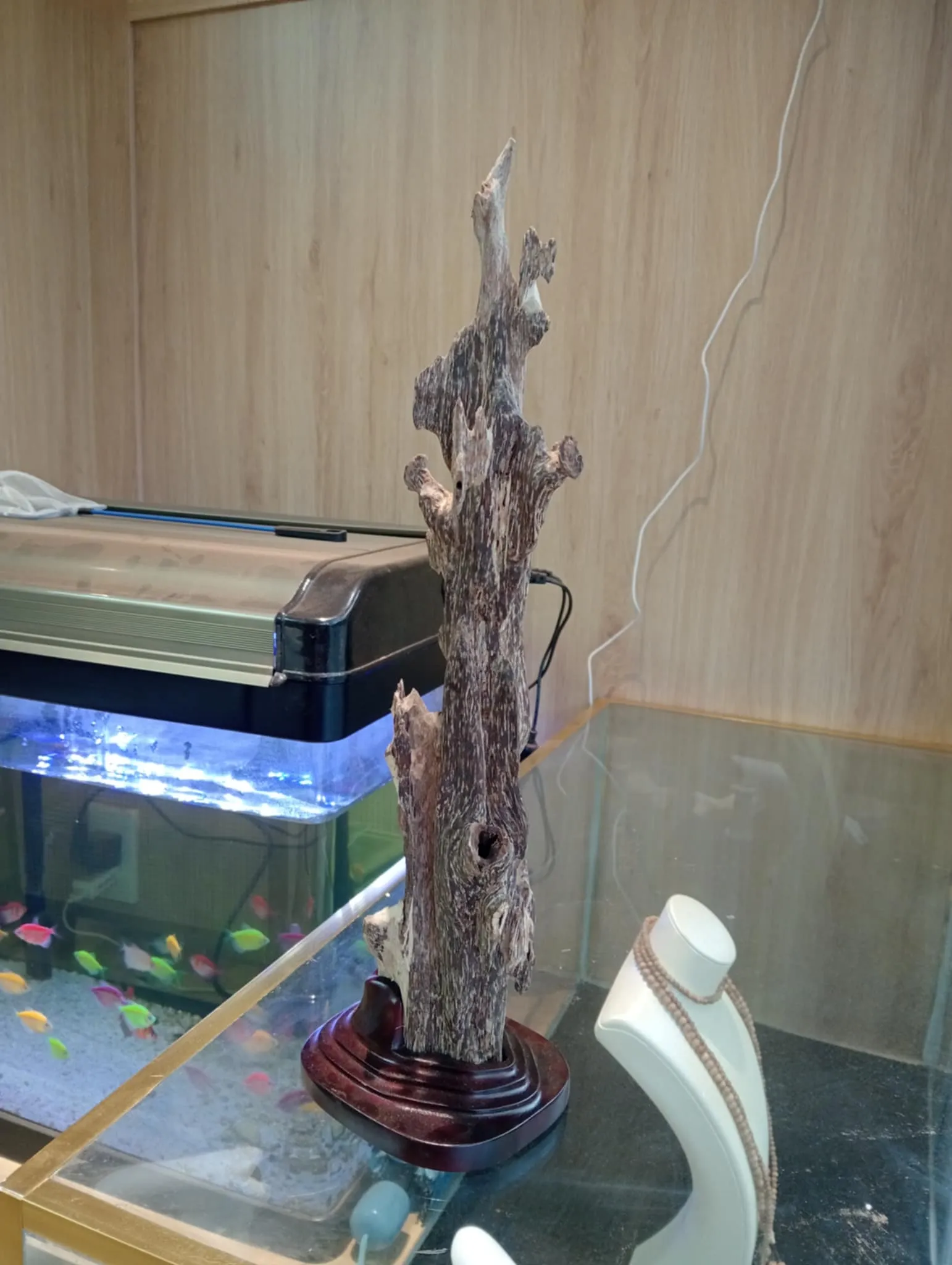 Hết hàng_Trầm Kiến Cảnh Trưng Bày_Khối Mỹ Nghệ Đồ Họa Cao