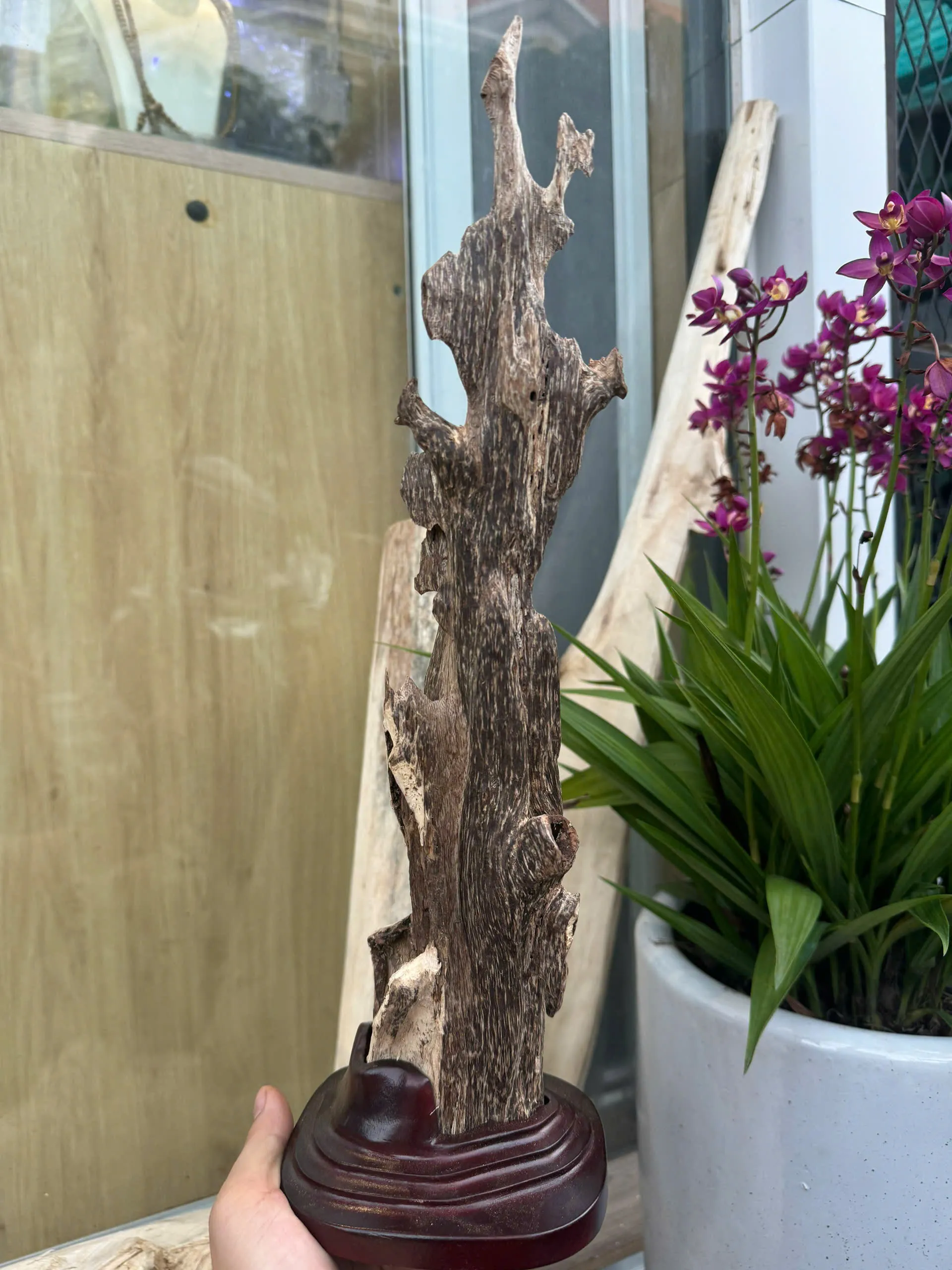 Hết hàng_Trầm Kiến Cảnh Trưng Bày_Khối Mỹ Nghệ Đồ Họa Cao