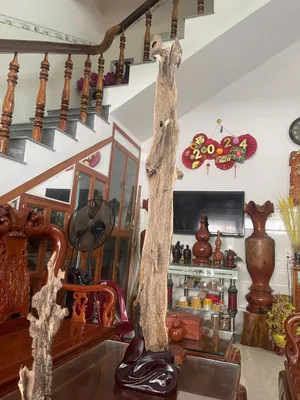 Hết hàng_Trầm Cảnh Nguyên Khối Để Trang Trí Nhà Cửa Và Các Cửa Hàng Phong Thủy