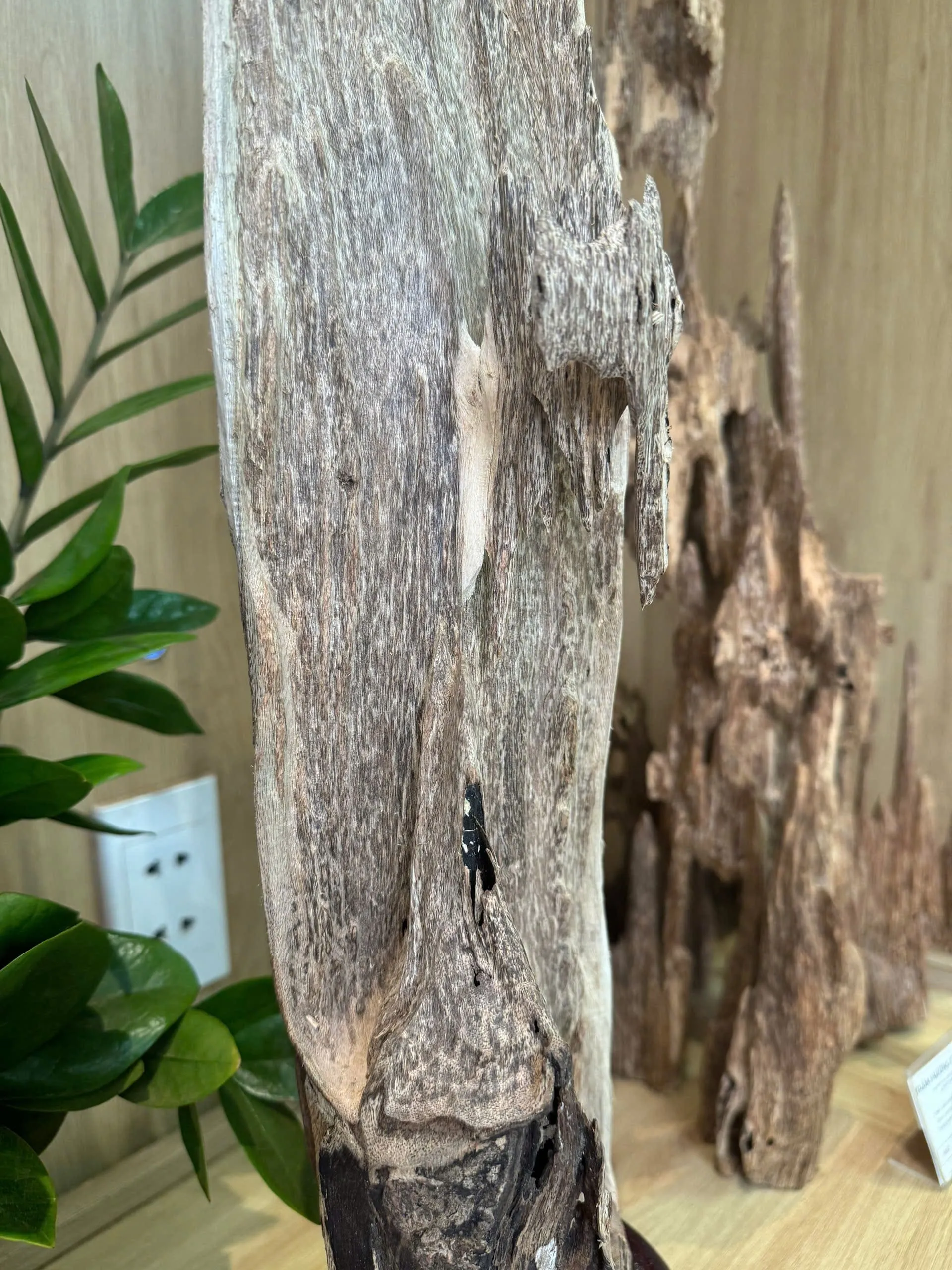 Hết hàng_Trầm Cảnh Nguyên Khối Để Trang Trí Nhà Cửa Và Các Cửa Hàng Phong Thủy