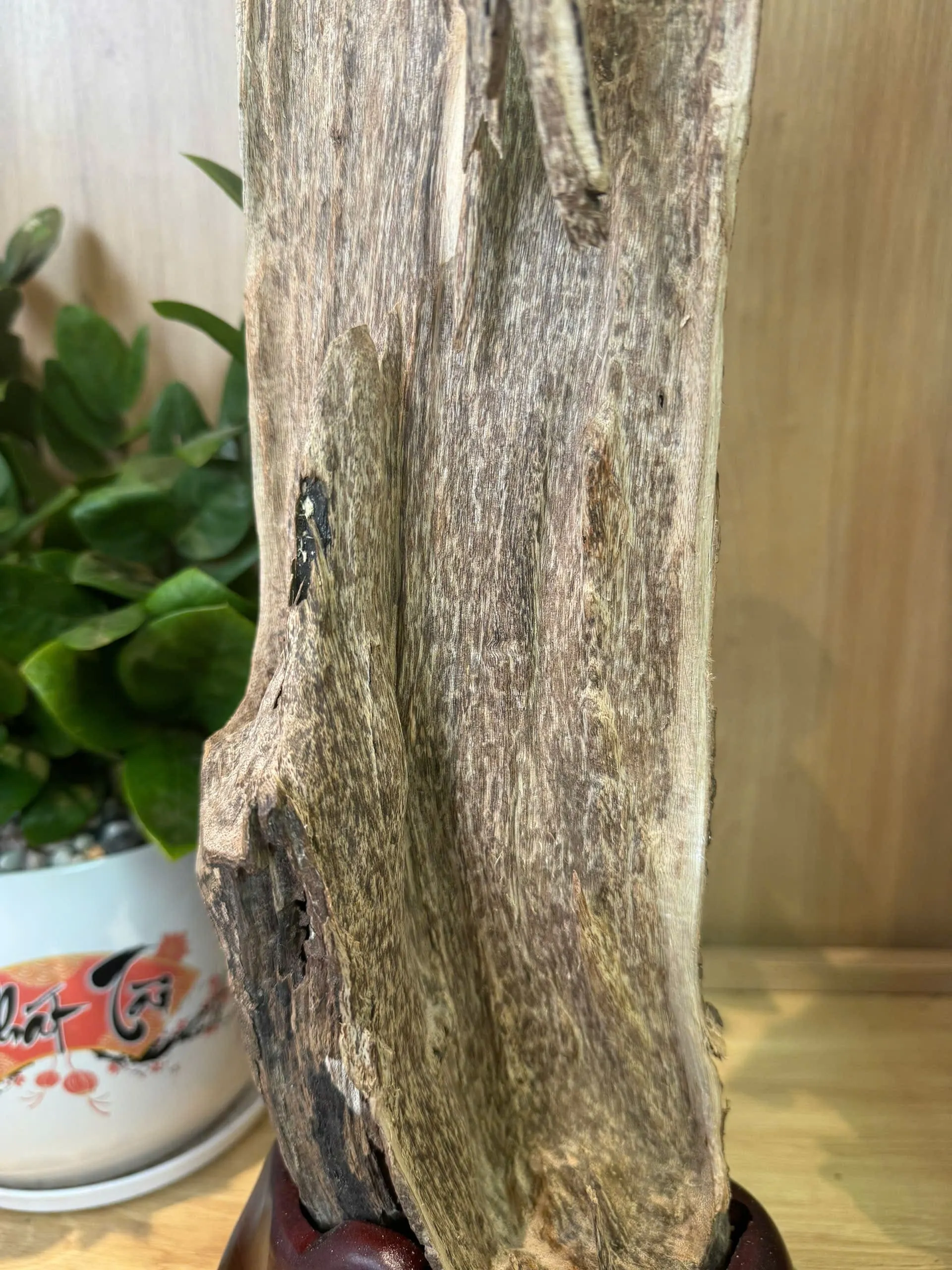 Hết hàng_Trầm Cảnh Nguyên Khối Để Trang Trí Nhà Cửa Và Các Cửa Hàng Phong Thủy