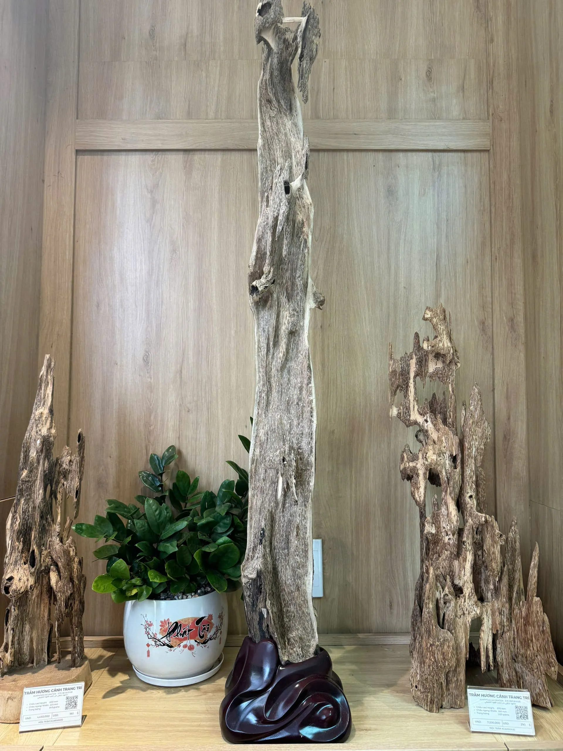 Hết hàng_Trầm Cảnh Nguyên Khối Để Trang Trí Nhà Cửa Và Các Cửa Hàng Phong Thủy