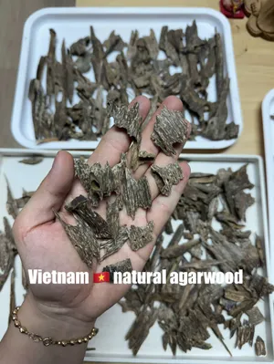 Trầm kiến kim VIP Trầm hương tự nhiên miếng xông thưởng trầm