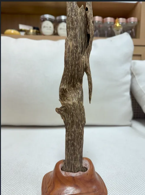 Hết hàng_ Trầm hương cảnh trang trí tự nhiên và chọc lọc nguyên khối cao 38 cm