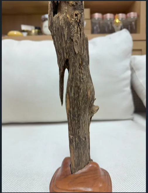 Hết hàng_ Trầm hương cảnh trang trí tự nhiên và chọc lọc nguyên khối cao 38 cm