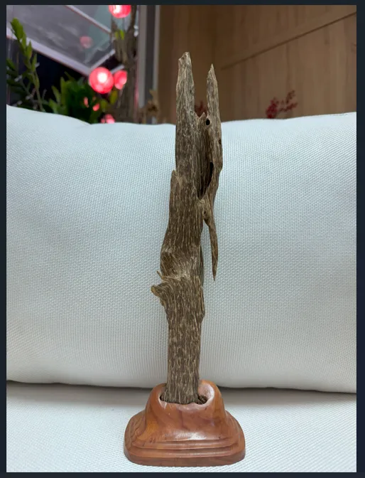 Hết hàng_ Trầm hương cảnh trang trí tự nhiên và chọc lọc nguyên khối cao 38 cm