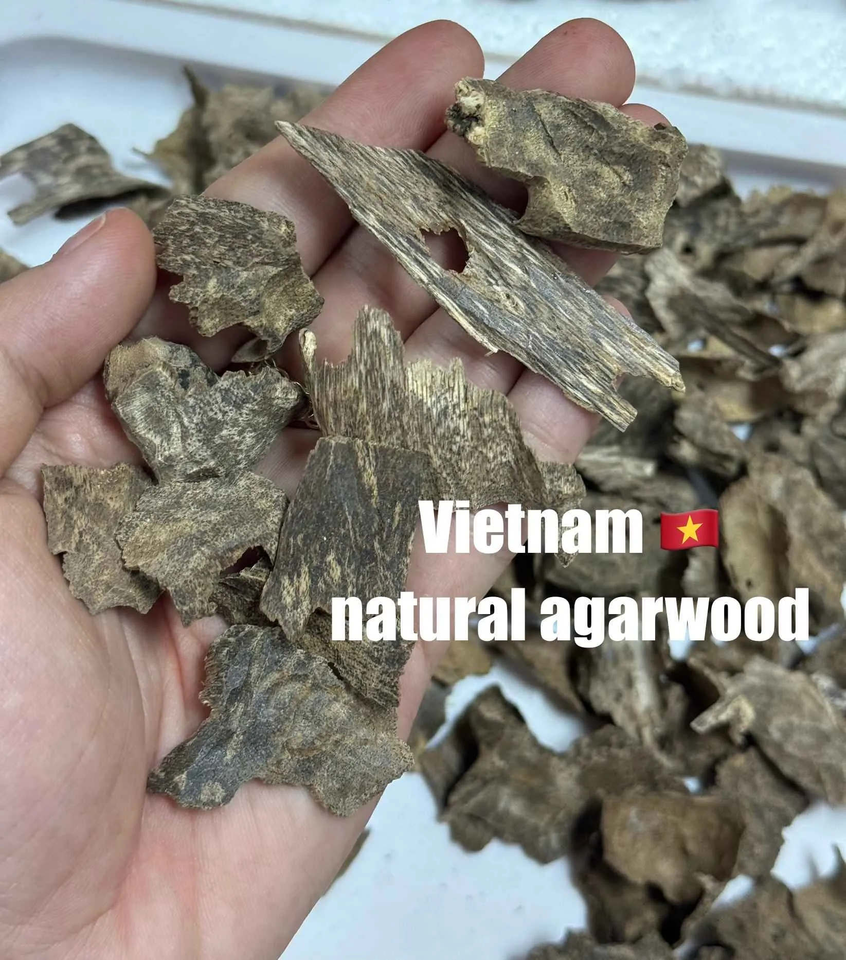 Thượng hạng_ Trầm hương tự nhiên_Trầm vụn khoan, miếng trầm dầu tốt tự nhiên Mộc Trầm Agarwood