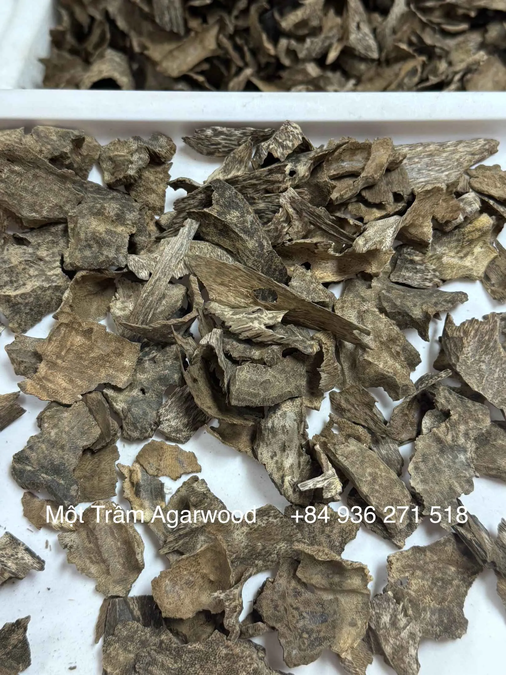 Thượng hạng_ Trầm hương tự nhiên_Trầm vụn khoan, miếng trầm dầu tốt tự nhiên Mộc Trầm Agarwood