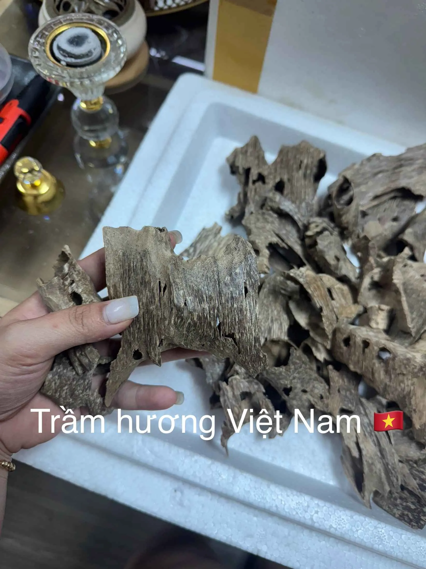 Trầm Khoan_trầm ổ Miếng trầm hương xông nhà, thưởng trầm nhiều tinh dầu và tự nhiên