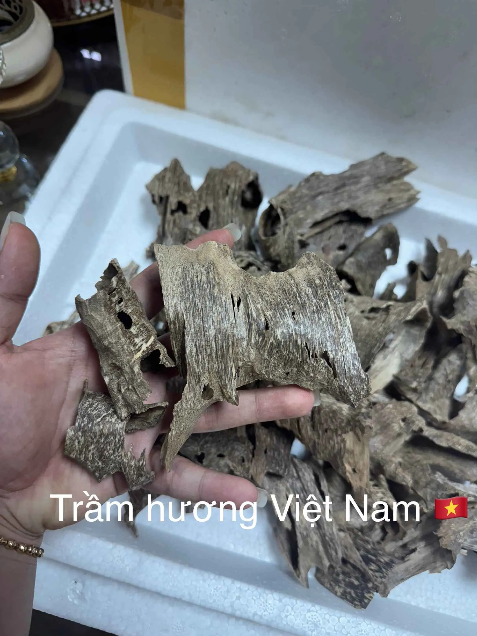 Trầm Khoan_trầm ổ Miếng trầm hương xông nhà, thưởng trầm nhiều tinh dầu và tự nhiên