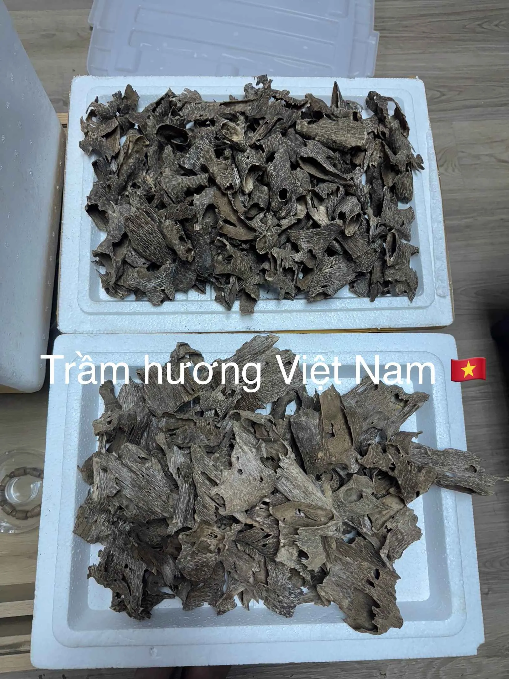 Trầm Khoan_trầm ổ Miếng trầm hương xông nhà, thưởng trầm nhiều tinh dầu và tự nhiên