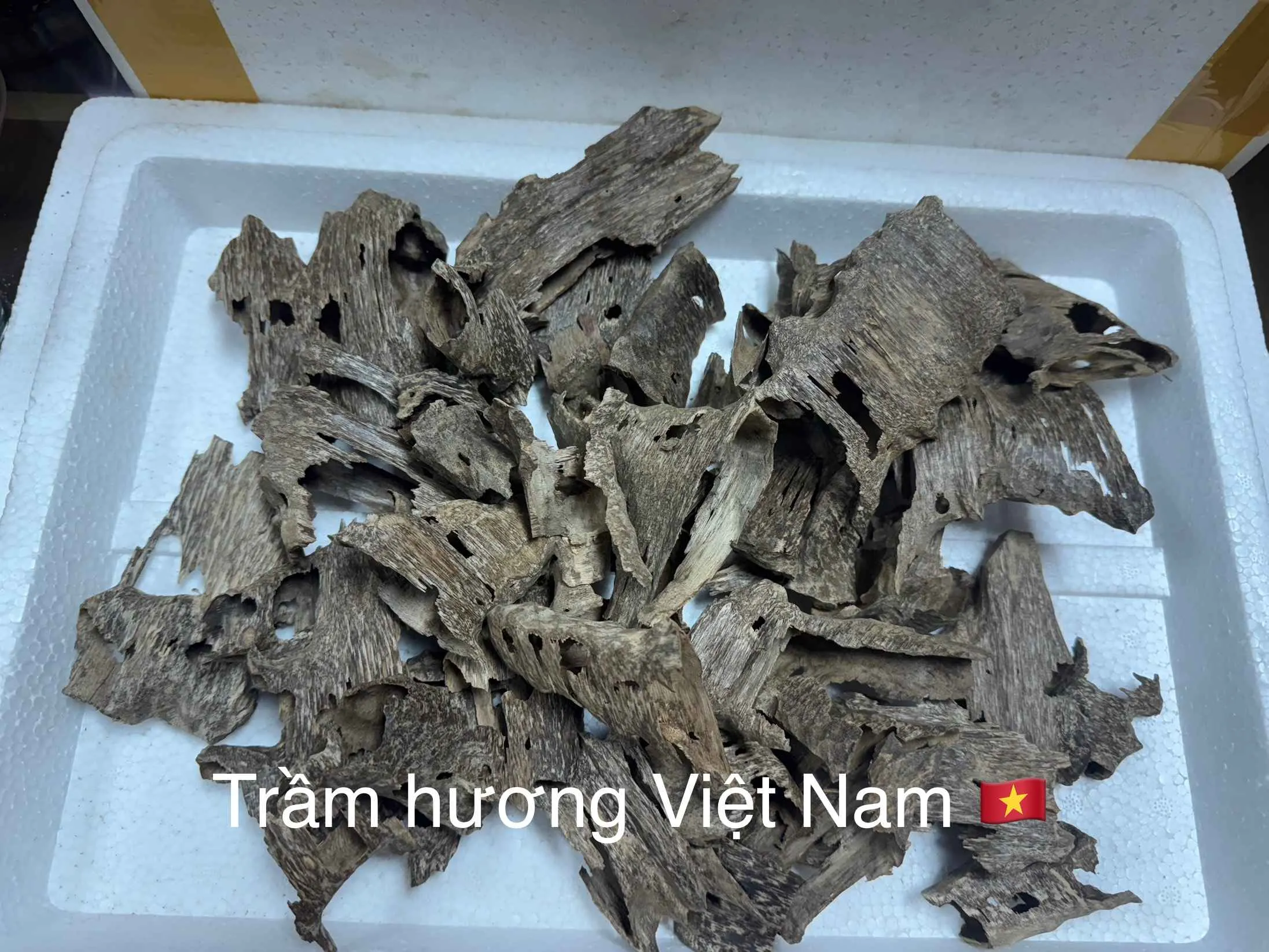 Trầm Khoan_trầm ổ Miếng trầm hương xông nhà, thưởng trầm nhiều tinh dầu và tự nhiên