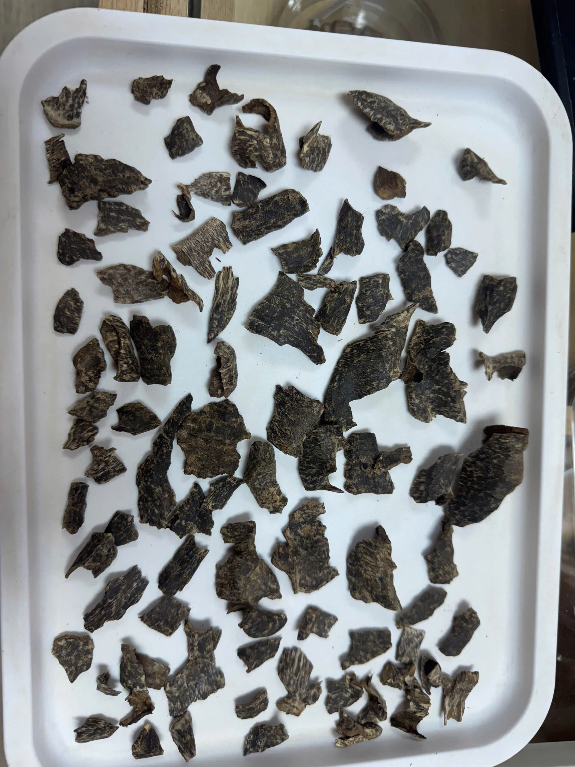 TRẦM RỪNG NHA TRANG - VIỆT NAM BỘ SƯU TẬP TRẦM RỪNG