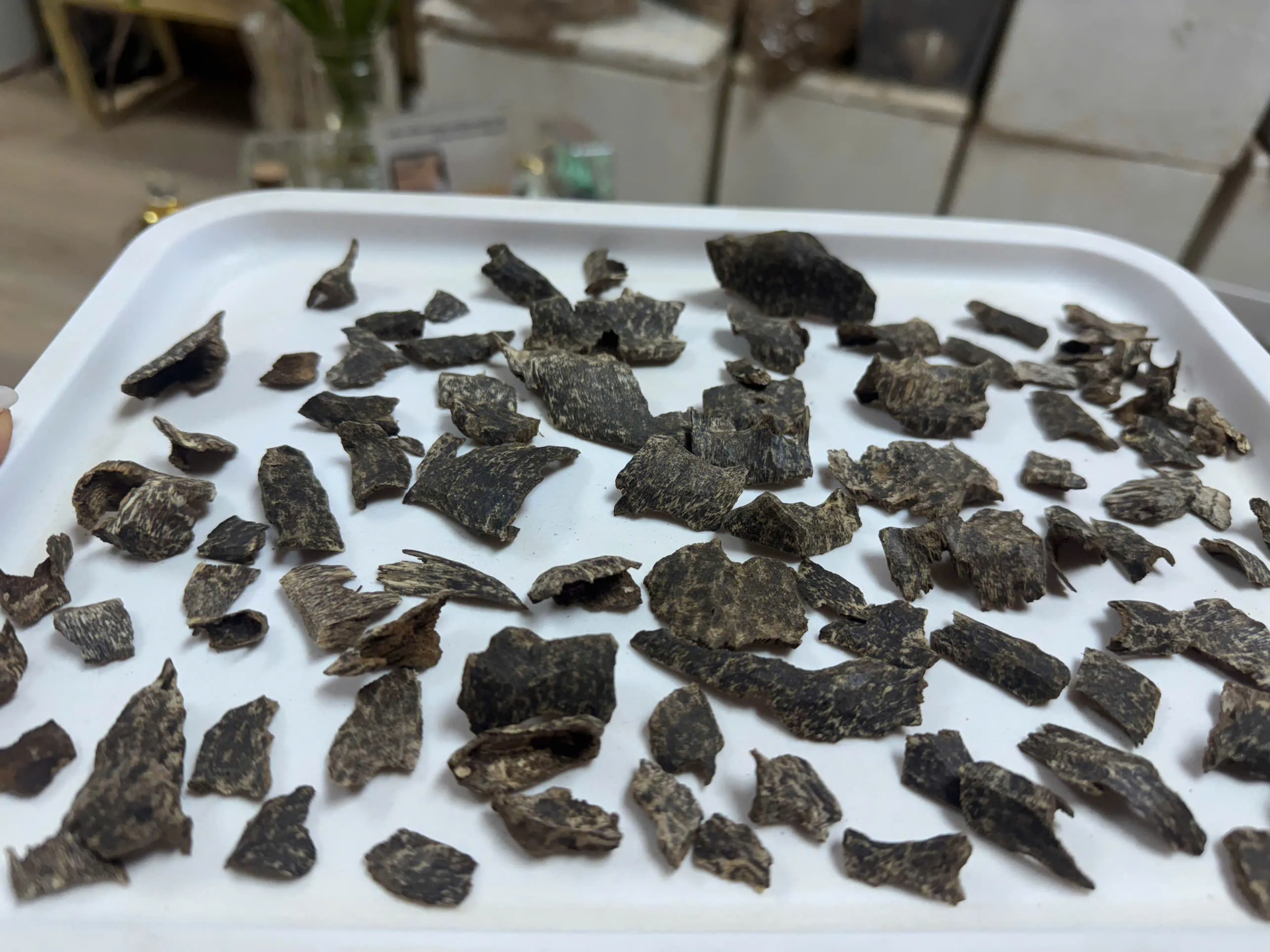 TRẦM RỪNG NHA TRANG - VIỆT NAM BỘ SƯU TẬP TRẦM RỪNG