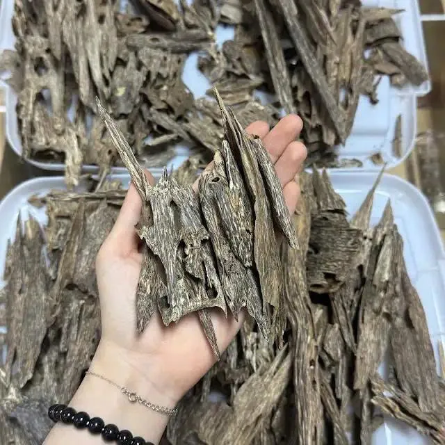 Thượng hạng_Trầm Kiến_Trầm Núi từ Nha Trang 