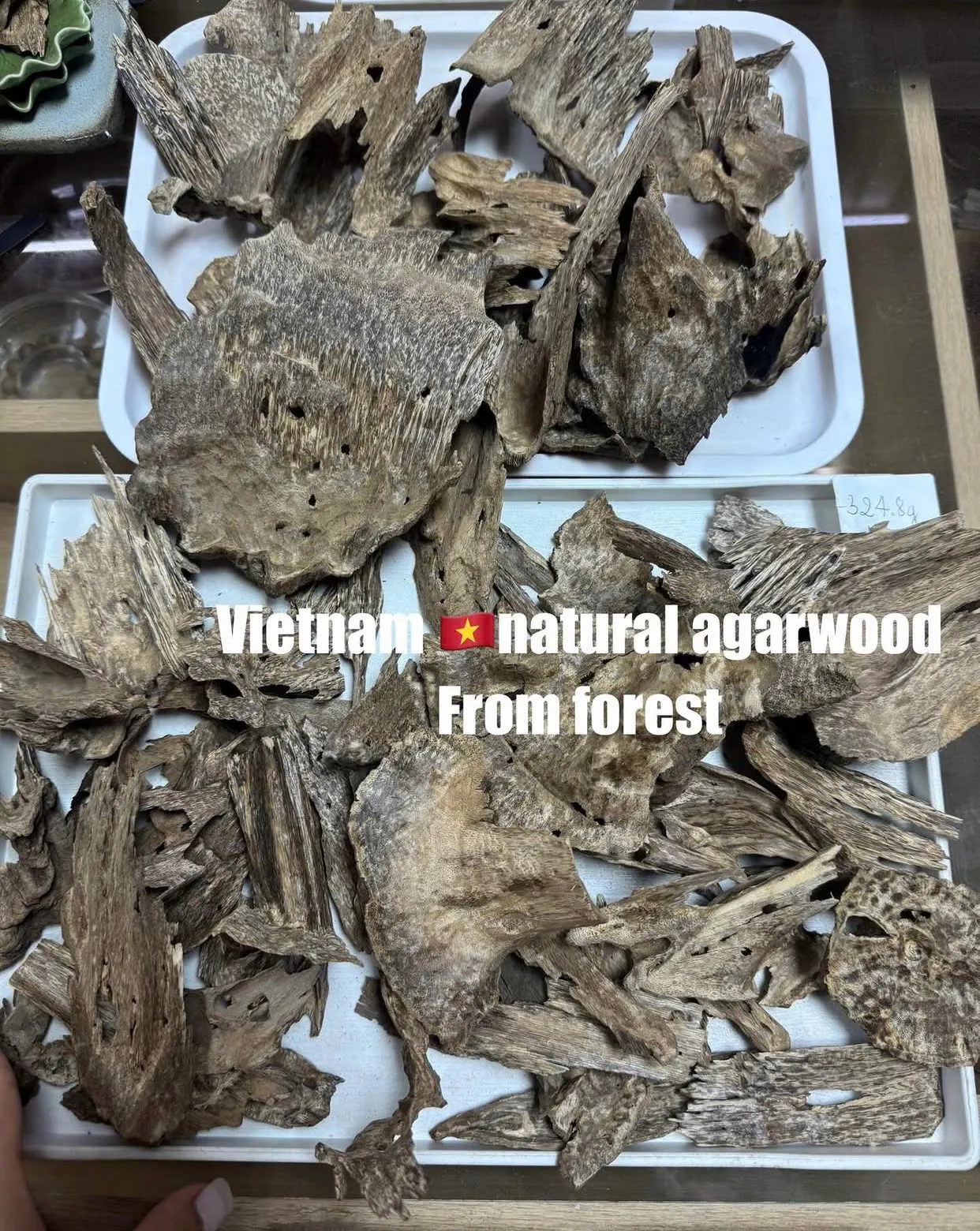 Why Vietnamese Agarwood - Vietnam Oud is Famous?
