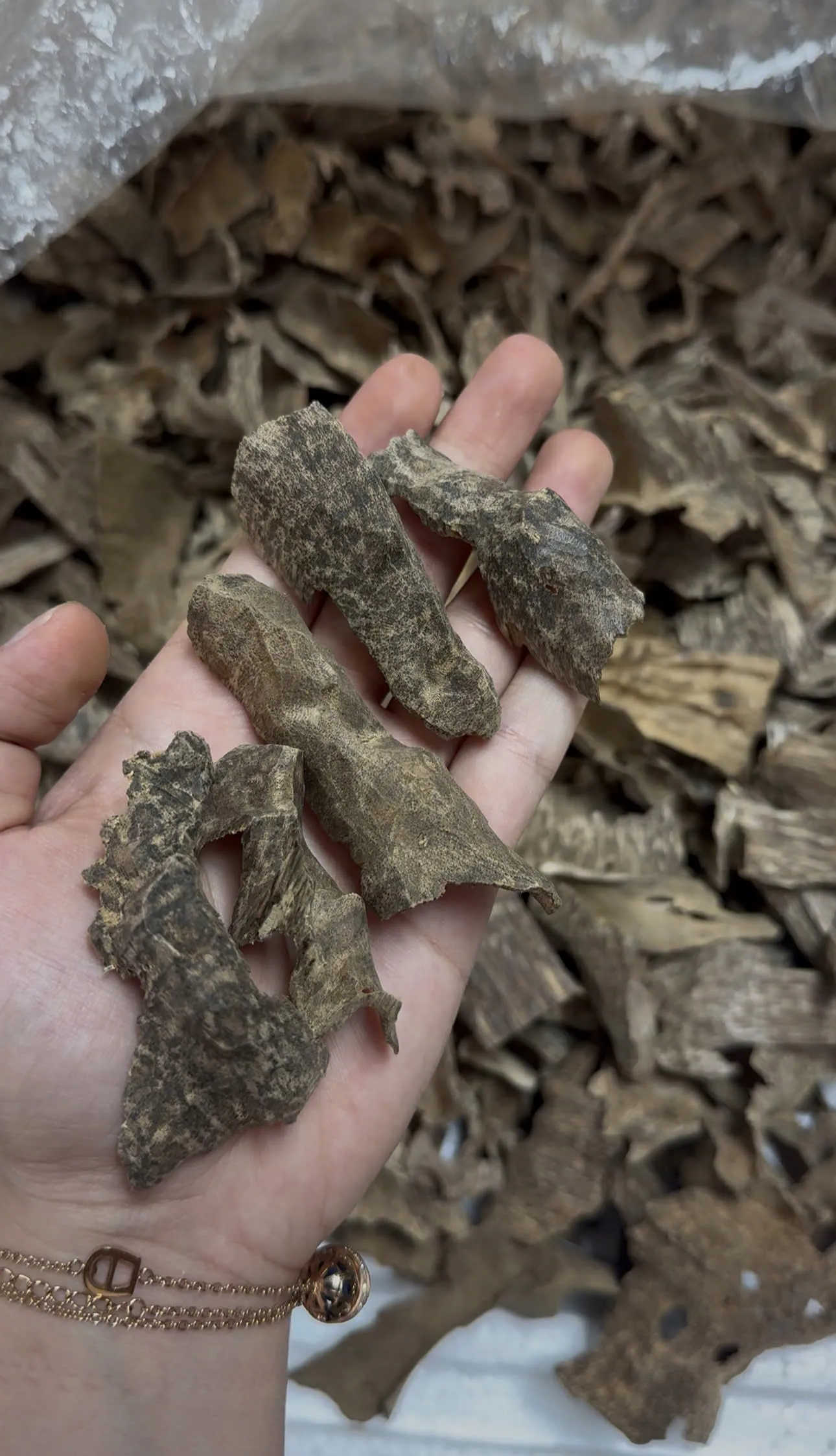 Cao cấp _Trầm chân khoan_ Chui khoan, Miếng trầm hương xông nhà thưởng trầm