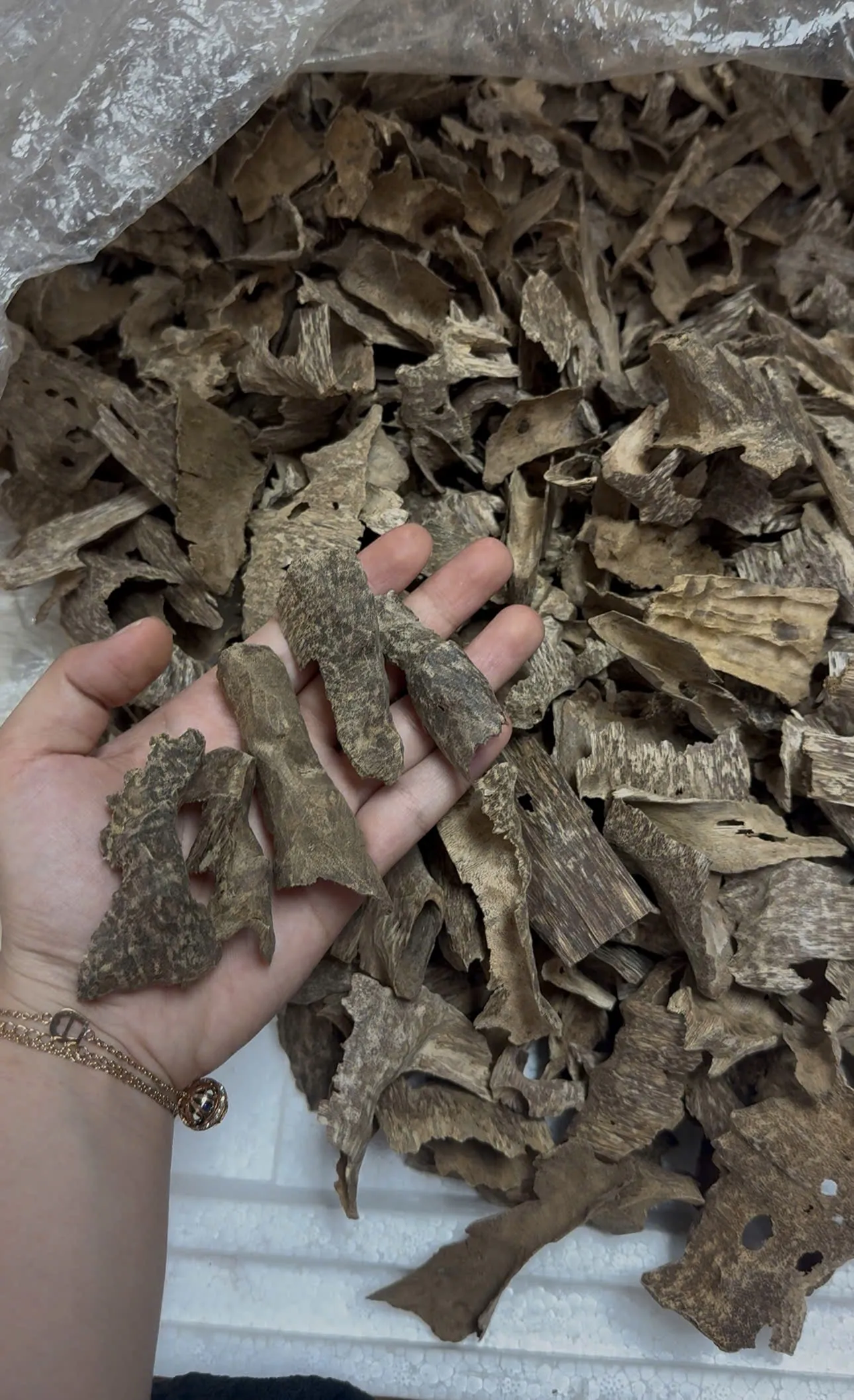 Cao cấp _Trầm chân khoan_ Chui khoan, Miếng trầm hương xông nhà thưởng trầm