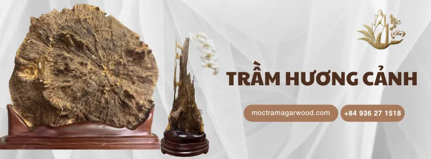Vietnamese Agarwood Decor | Handcrafted Sculptures & Spiritual Art in Ho Chi Minh City