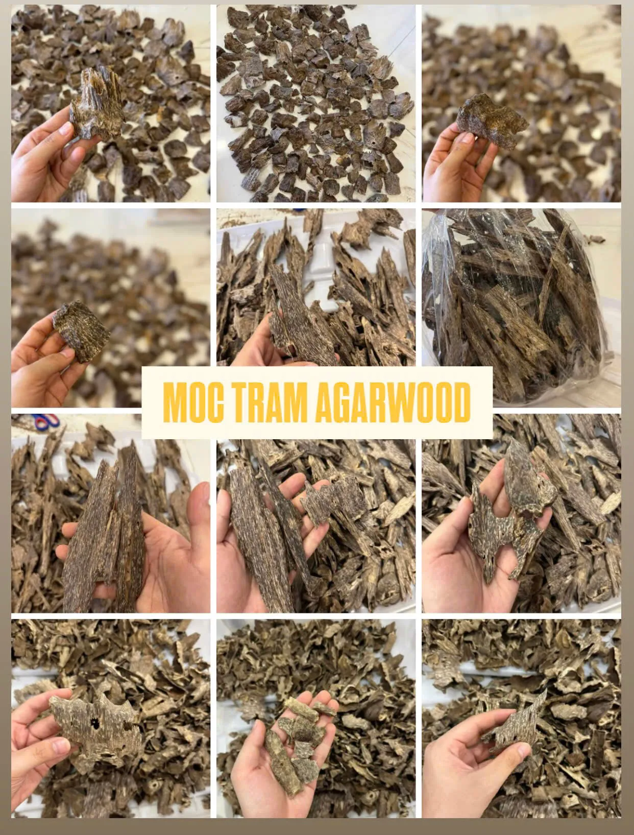 Oud: The Fragrance of Faith and Arab Heritage | Mộc Trầm Agarwood