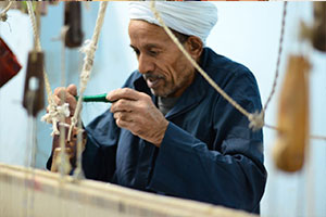 منشأة أبو تيج للسجاد (٢٠١٨-٢٠١٩)
