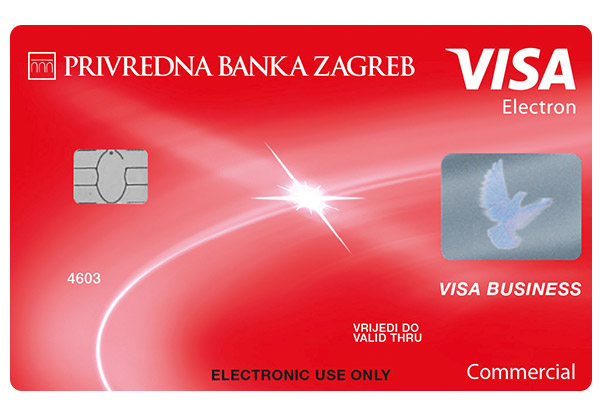 VISA business electron card