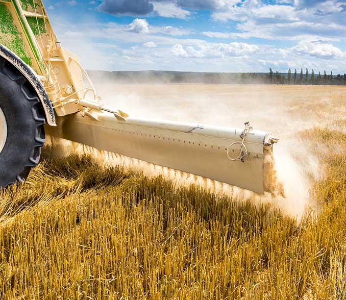 intesa farmer loan ministry of agriculture