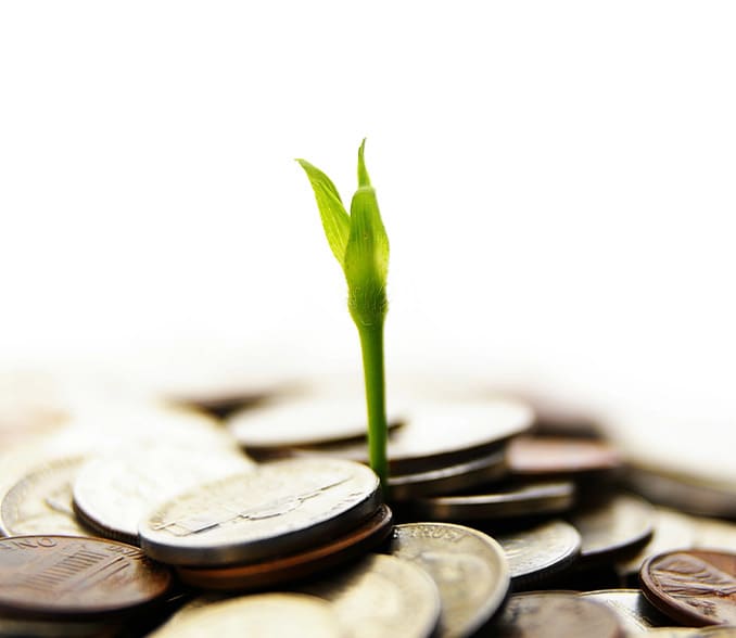 Avista savings