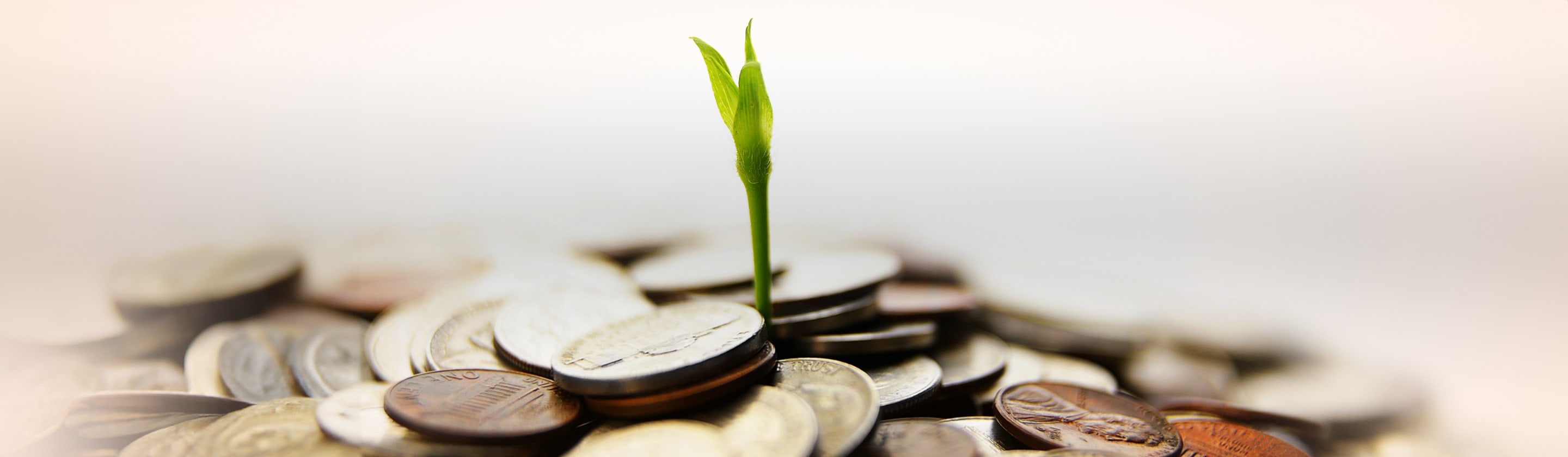 Avista savings without effort
