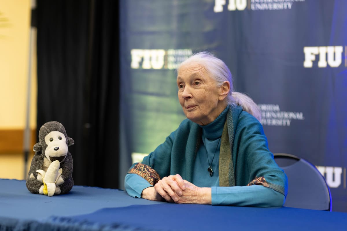Jane Goodall shares message of hope with South Florida FIU News