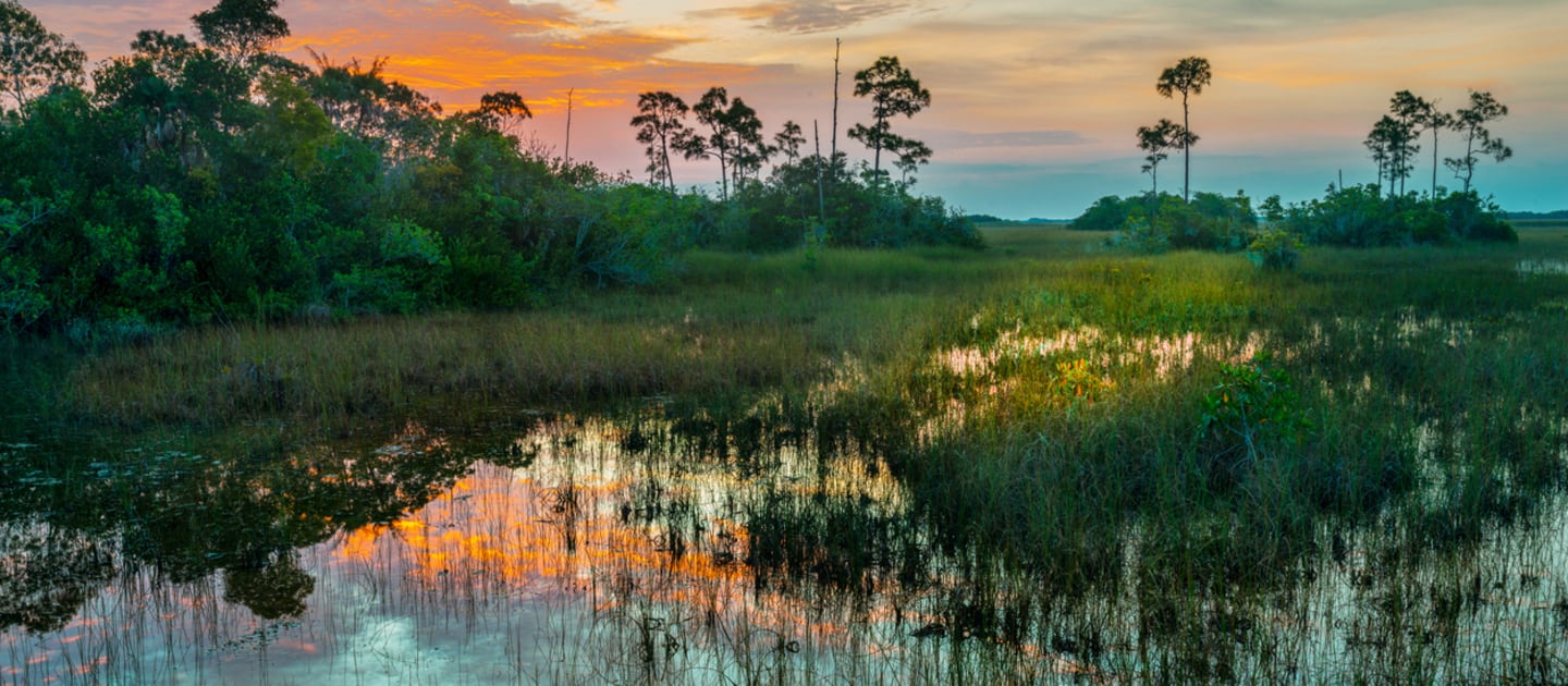 Everglades restoration strengthens South Florida’s climate resilience ...