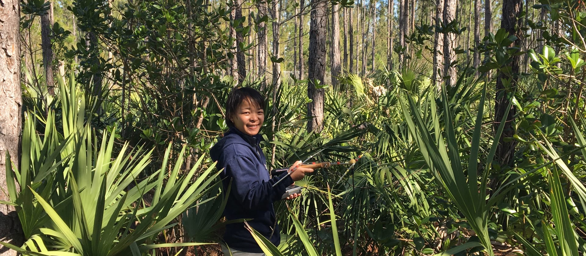 fiu undergraduate research opportunities