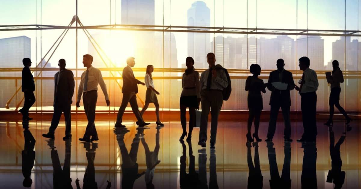 Universities partner with local industry for student internships ...