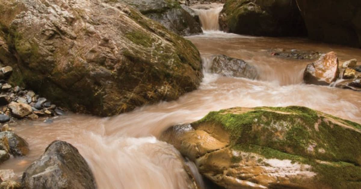 Tropical mountain rivers are where the magic happens - FIU News