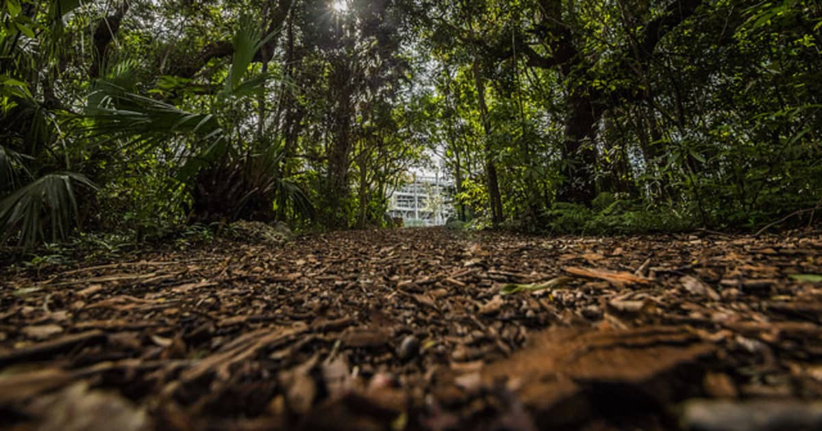 How to make the most of an outdoor workout | FIU News ...