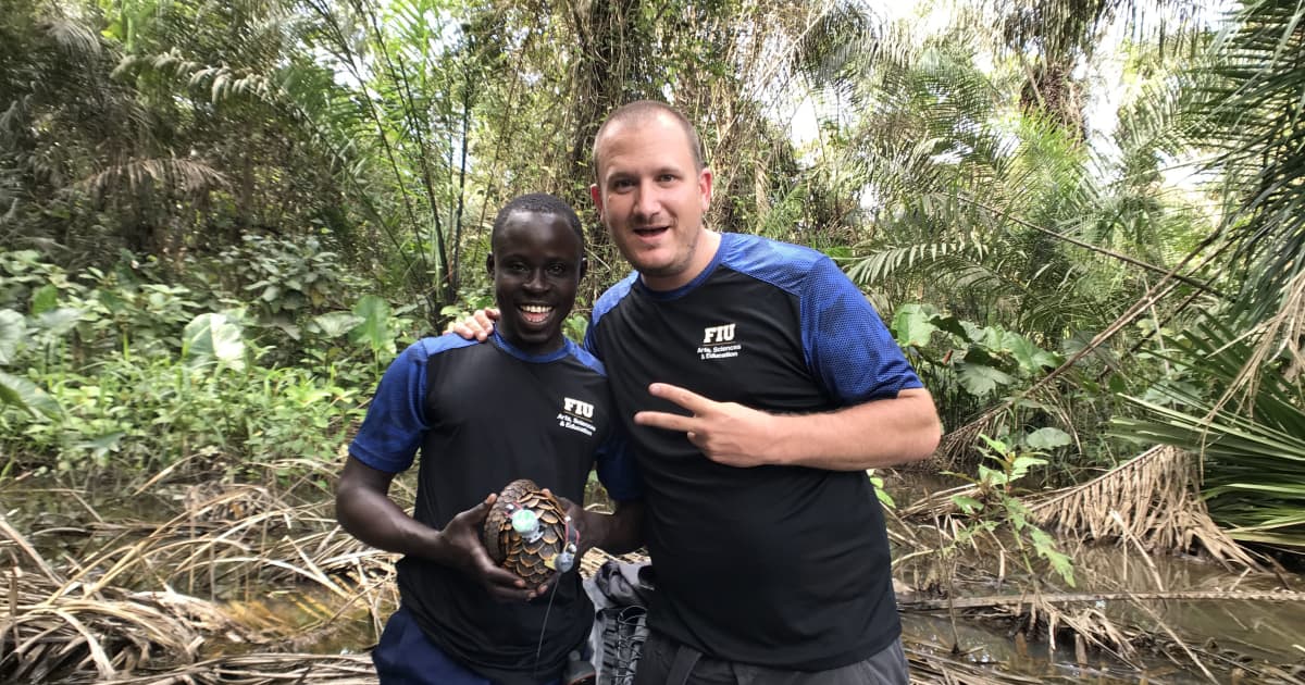 Researchers Explore Secret Lives Of World S Most Trafficked Mammal Fiu News Florida International University Researchers Explore Secret Lives Of World S Most Trafficked Mammal Fiu News Florida International University