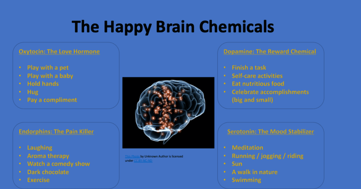 Hormone endorphin presentation on