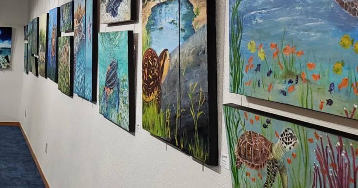 Saving our bay through art - Vimarsana News