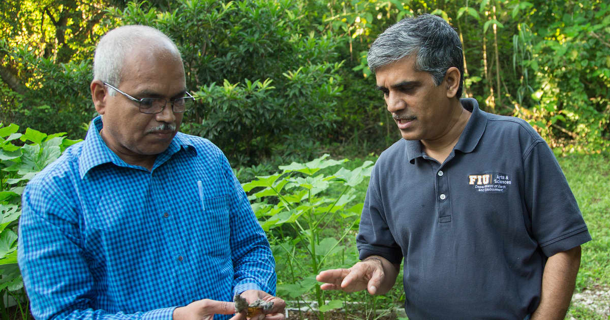 Professor recognized for two decades of agriculture research - Vimarsana News