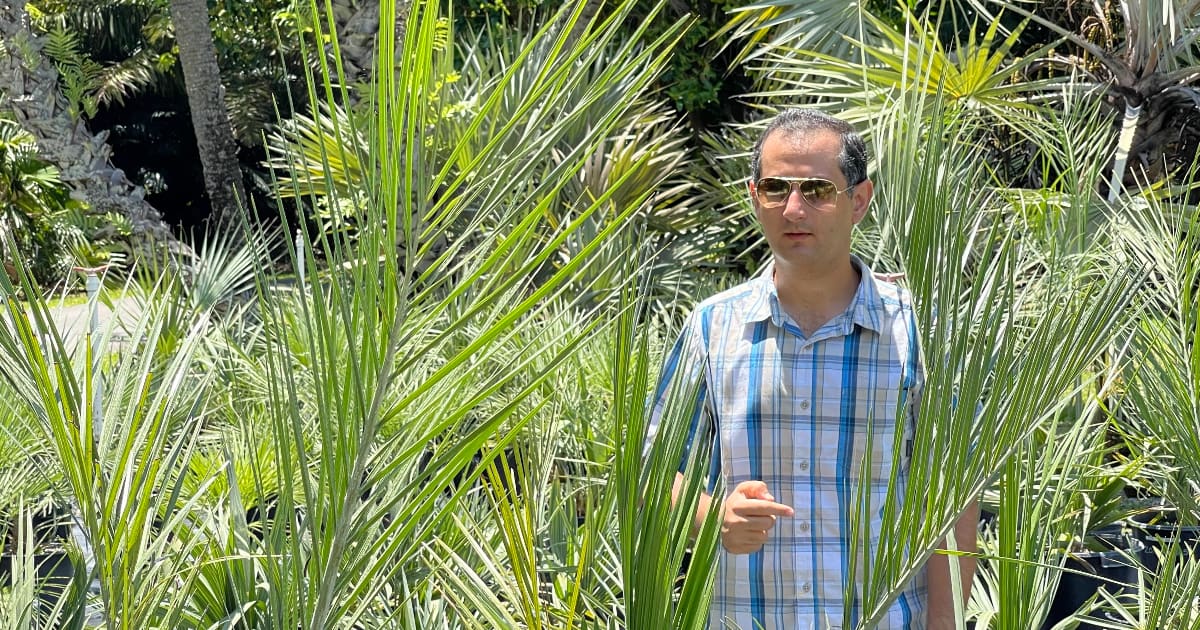 Professor developing new tool for plant parents - Vimarsana News