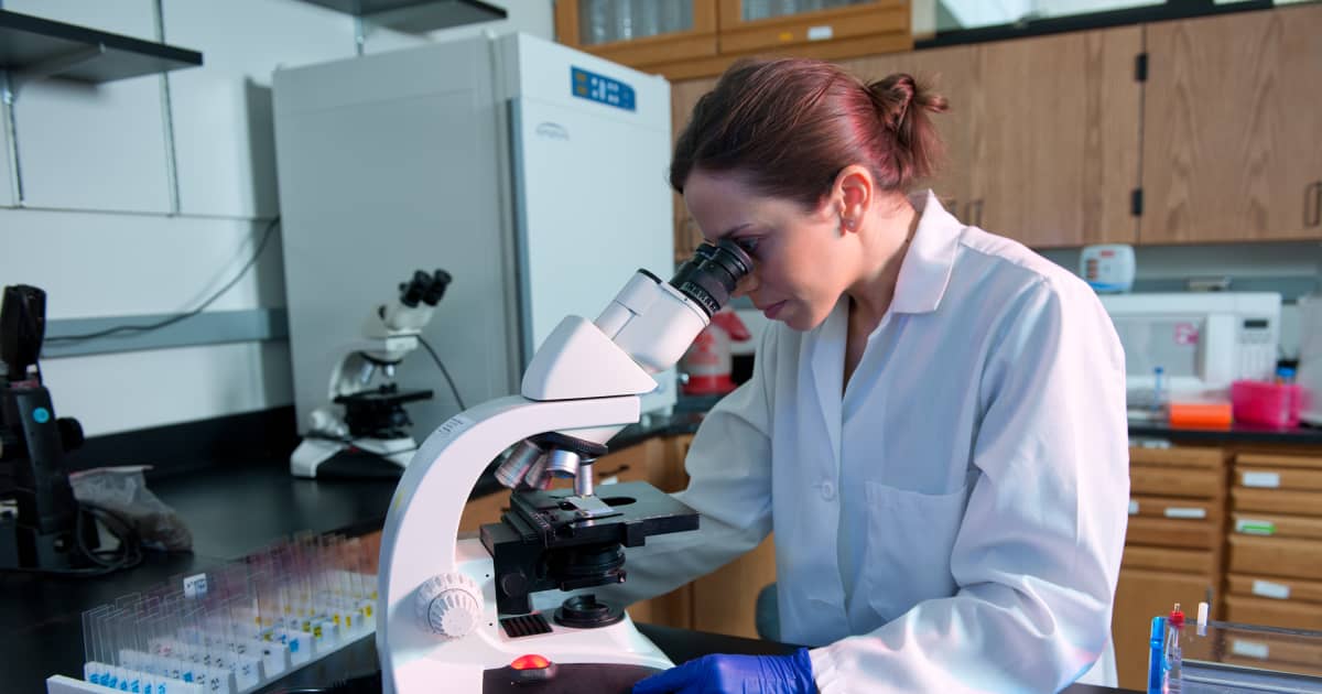 FIU launches new program in veterinary forensics FIU News Florida